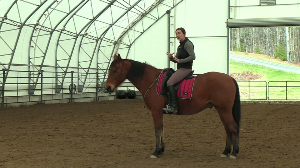 Working on the Circle Bridleless
